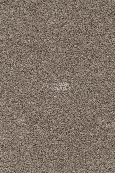 Ковролин AW Stainguard Harvest 31 фото 1 | FLOORDEALER